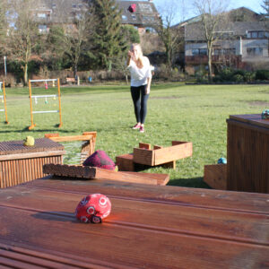 Crossboccia