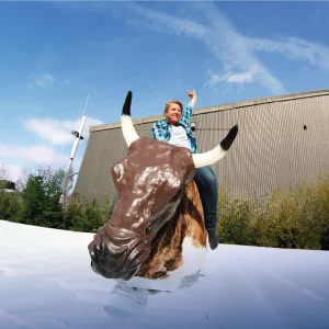 Bull Riding